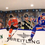 Painted Mural, Sports mural, Hockey Mural, Residential Mural.