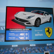 Painted Mural, Sports mural, Kid's Room Mural, Residential Mural.