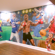 Painted Mural, Sports mural, Man Cave Mural, Residential Mural.