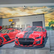 Car Mural, Painted Mural, Garage Mural, Residential Mural.